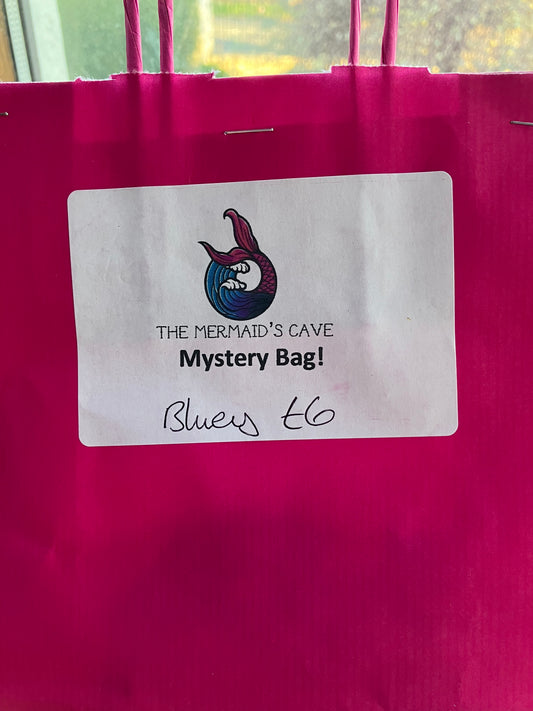 Cartoon Dog Mystery Bag