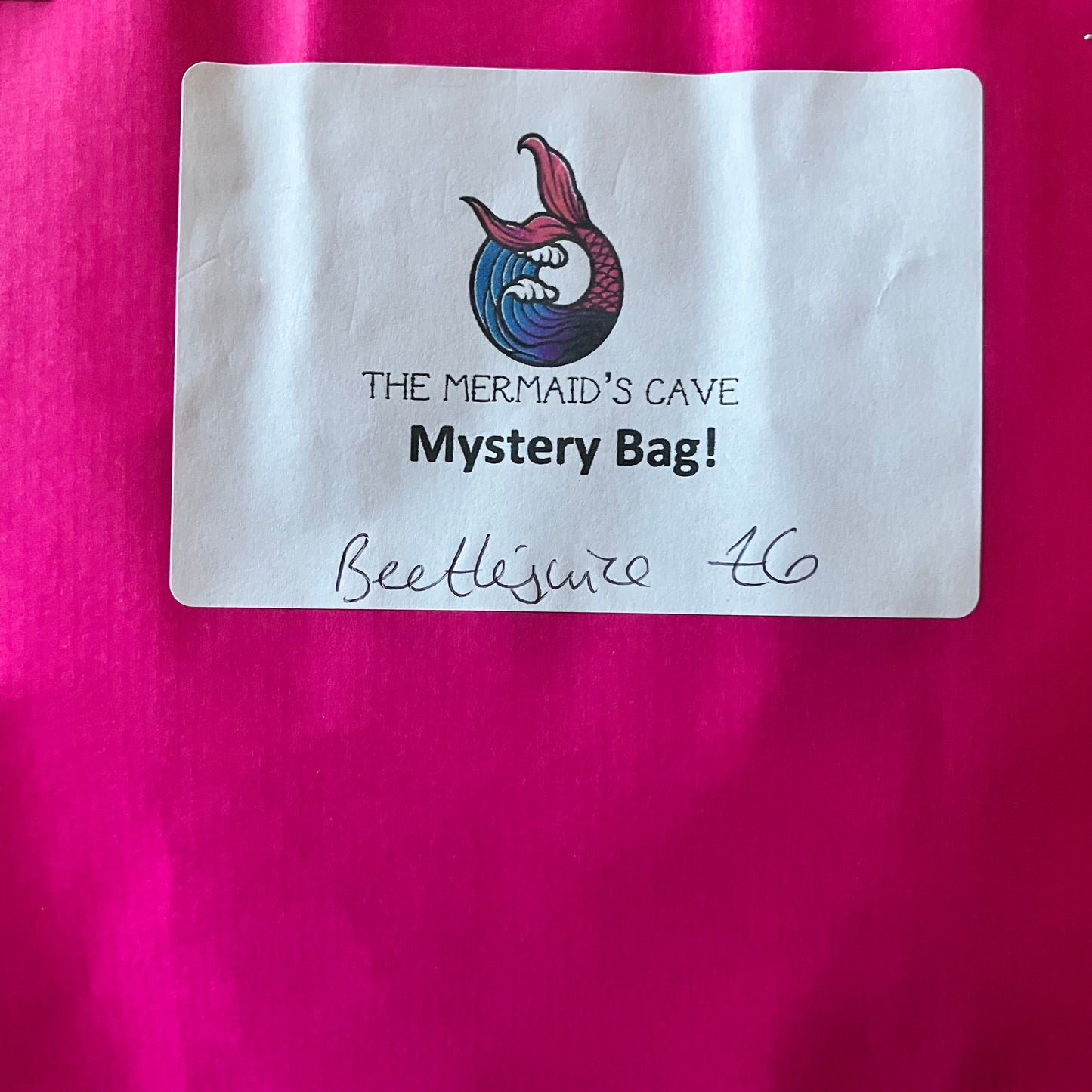 Beetle Mystery Bag