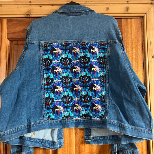 Dragon Trainer Jacket