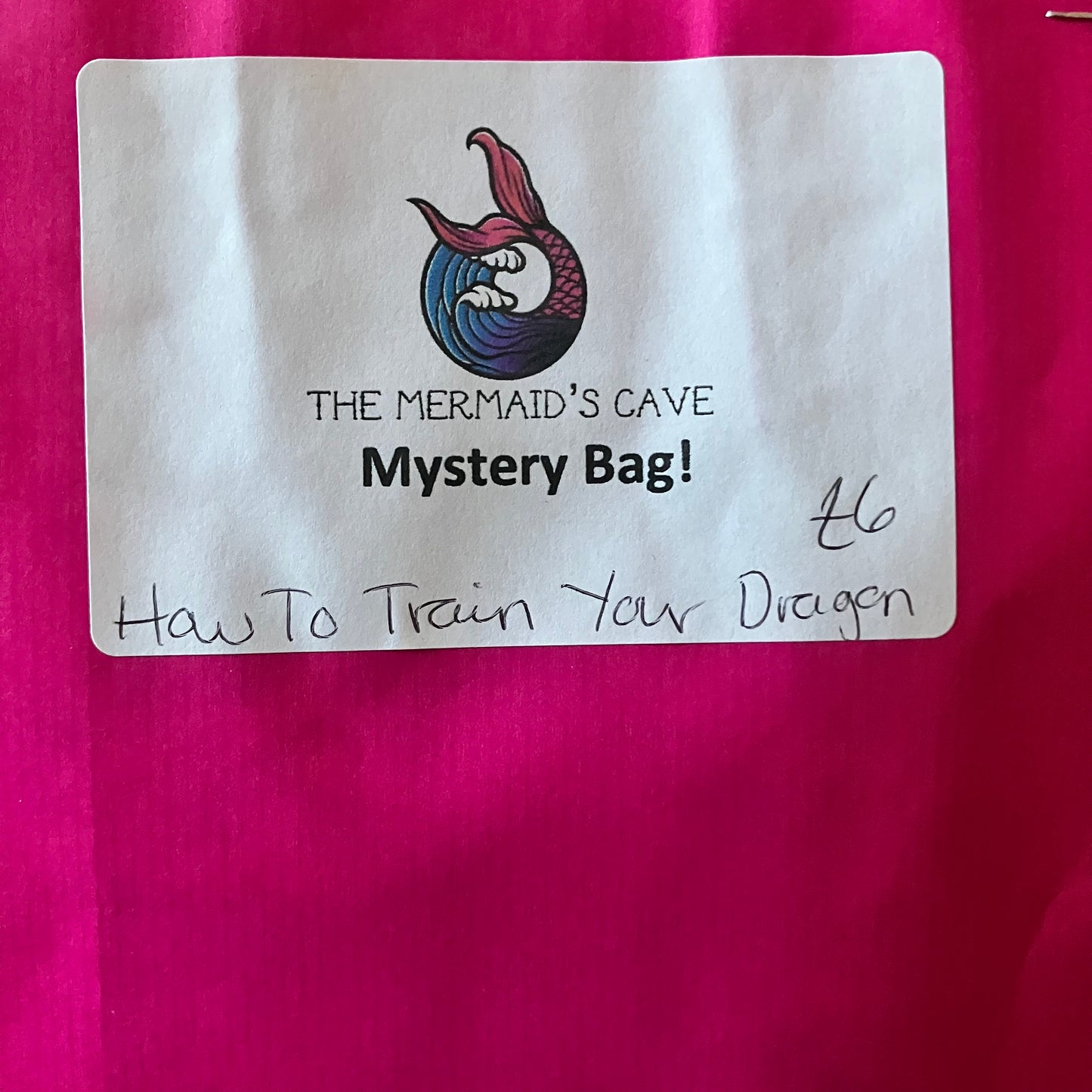 Dragon Trainer Mystery Bag