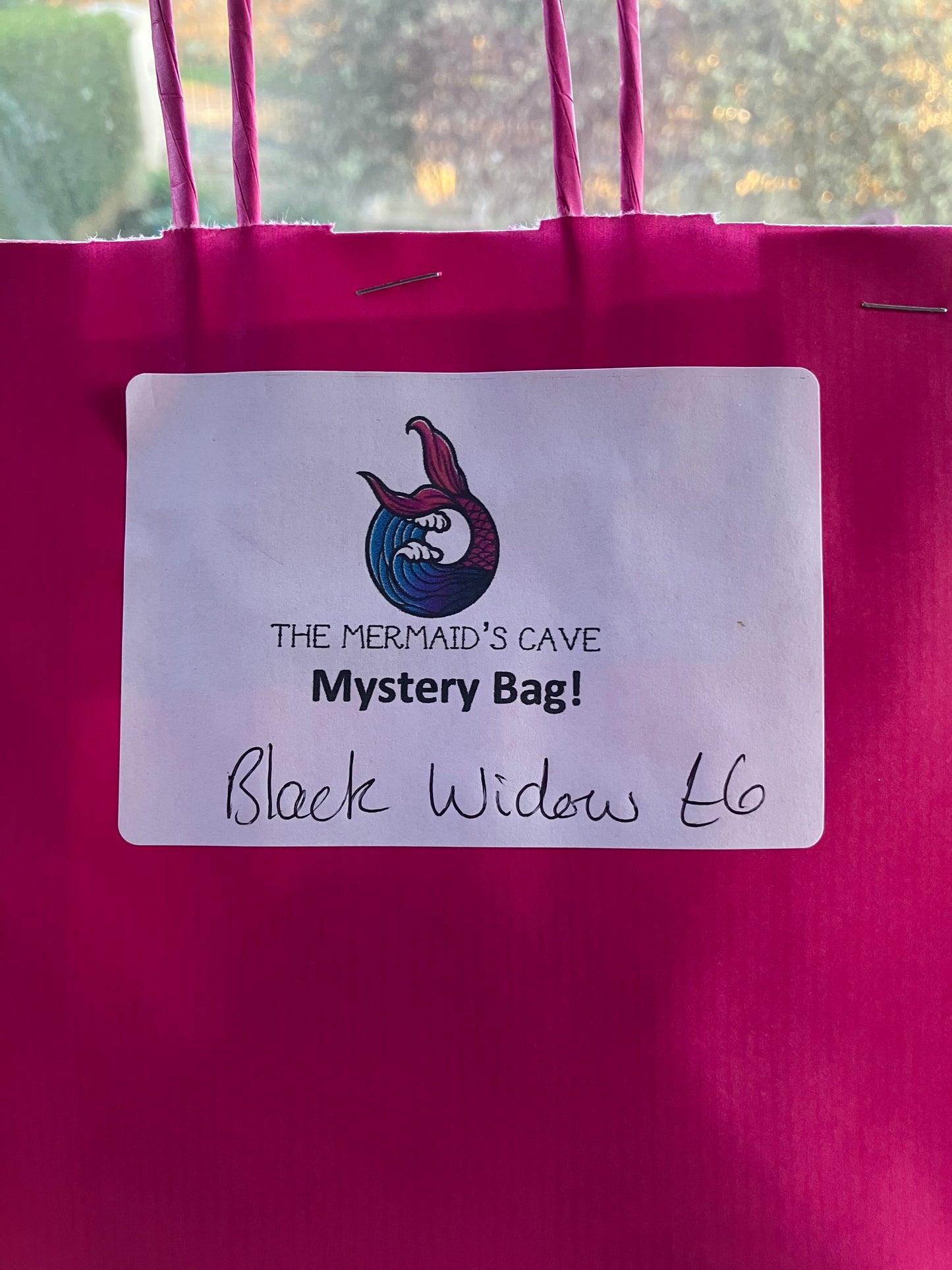 Superhero Mystery Bag