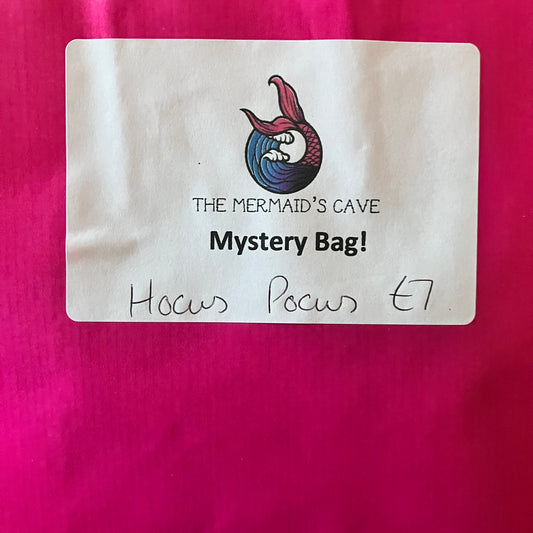 Halloween Witch Mystery Bag