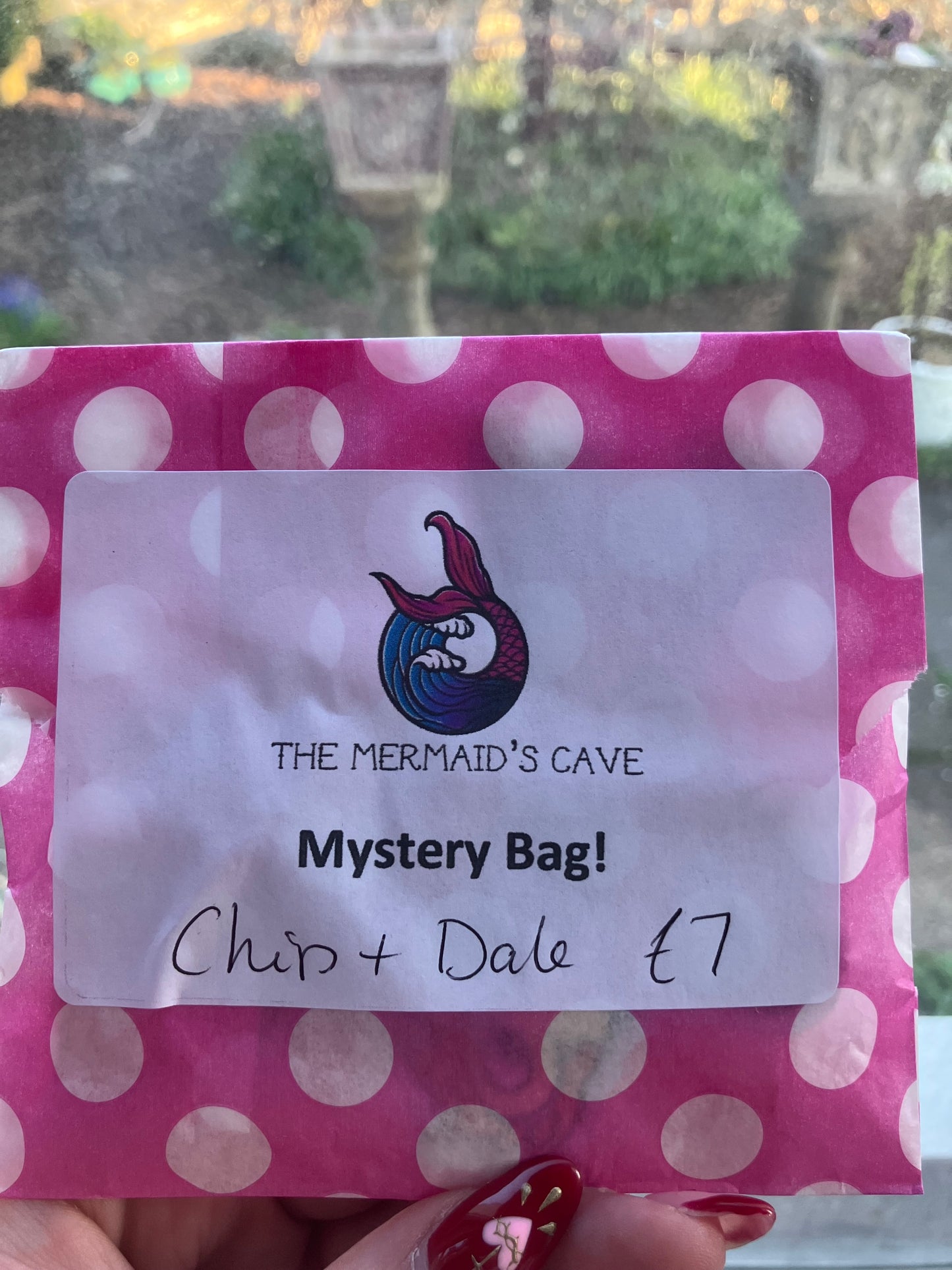 Cartoon Chipmunks Mystery Bag