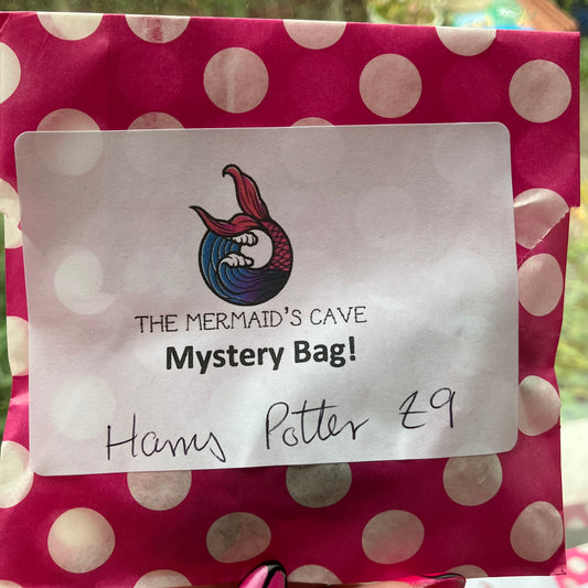 Wizard Mystery Bag