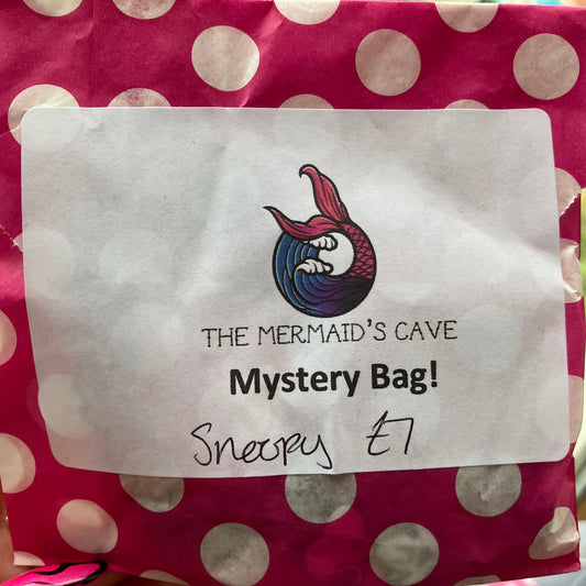 Cartoon Dog Mystery Bag