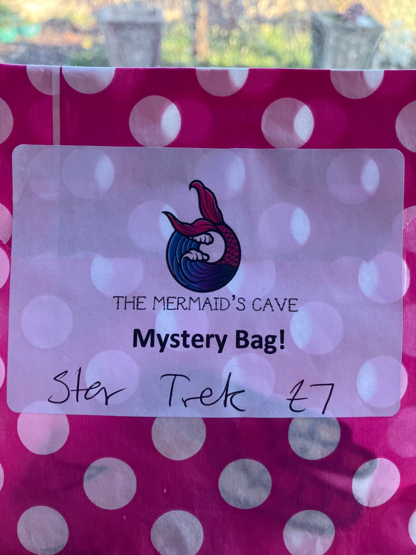 Trek Mystery Bag