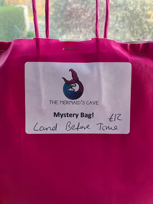Dinosaur Mystery Bag