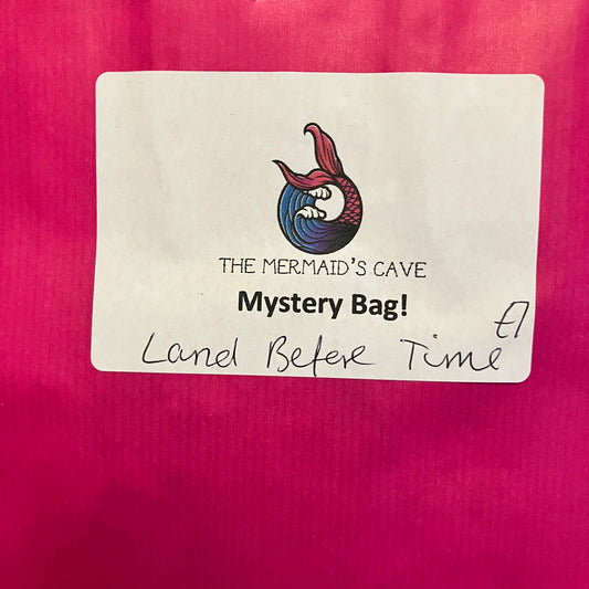 Cartoon Dinosaur Mystery Bag