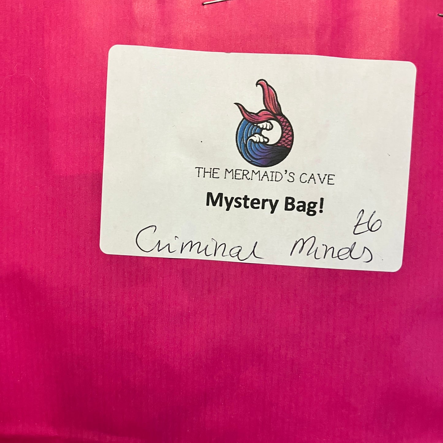 Criminal Mystery Bag