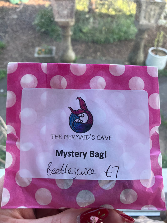 Beetle Mystery Bag