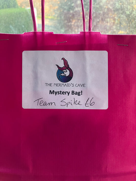 Team Spike Mystery Bag