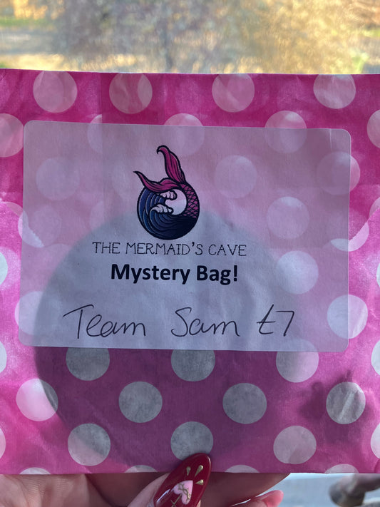 Team Sam Mystery Bag