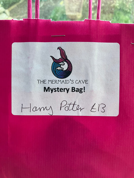 Wizard Mystery Bag