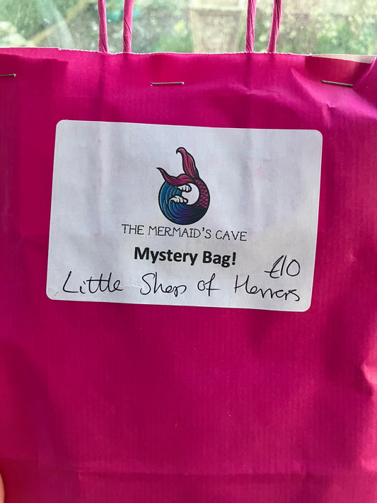Little Shop Mystery Bag
