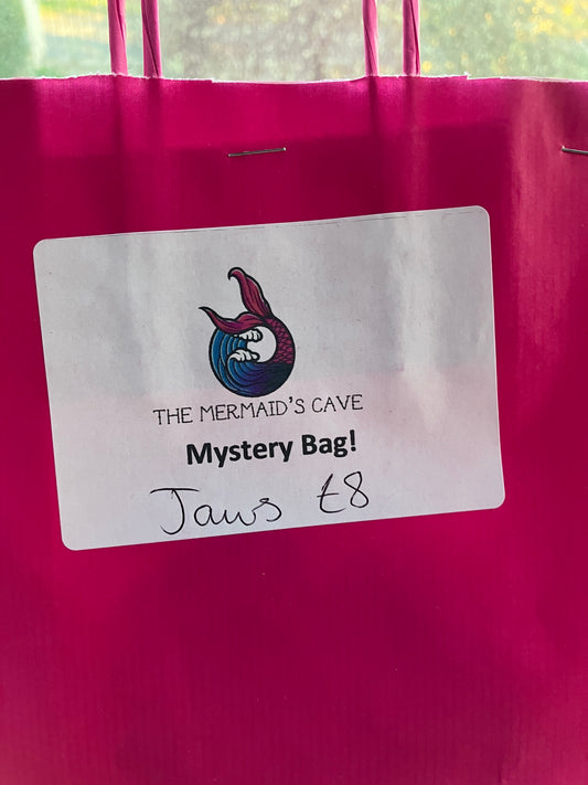 Horror Shark Mystery Bag