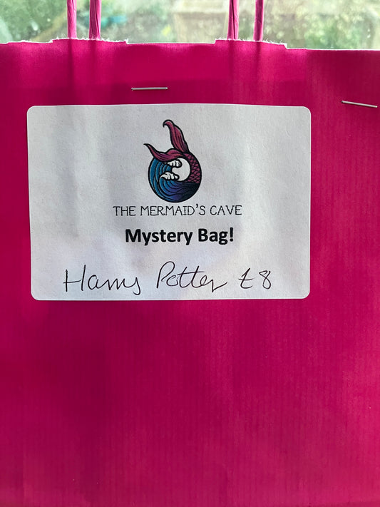 Wizard Mystery Bag