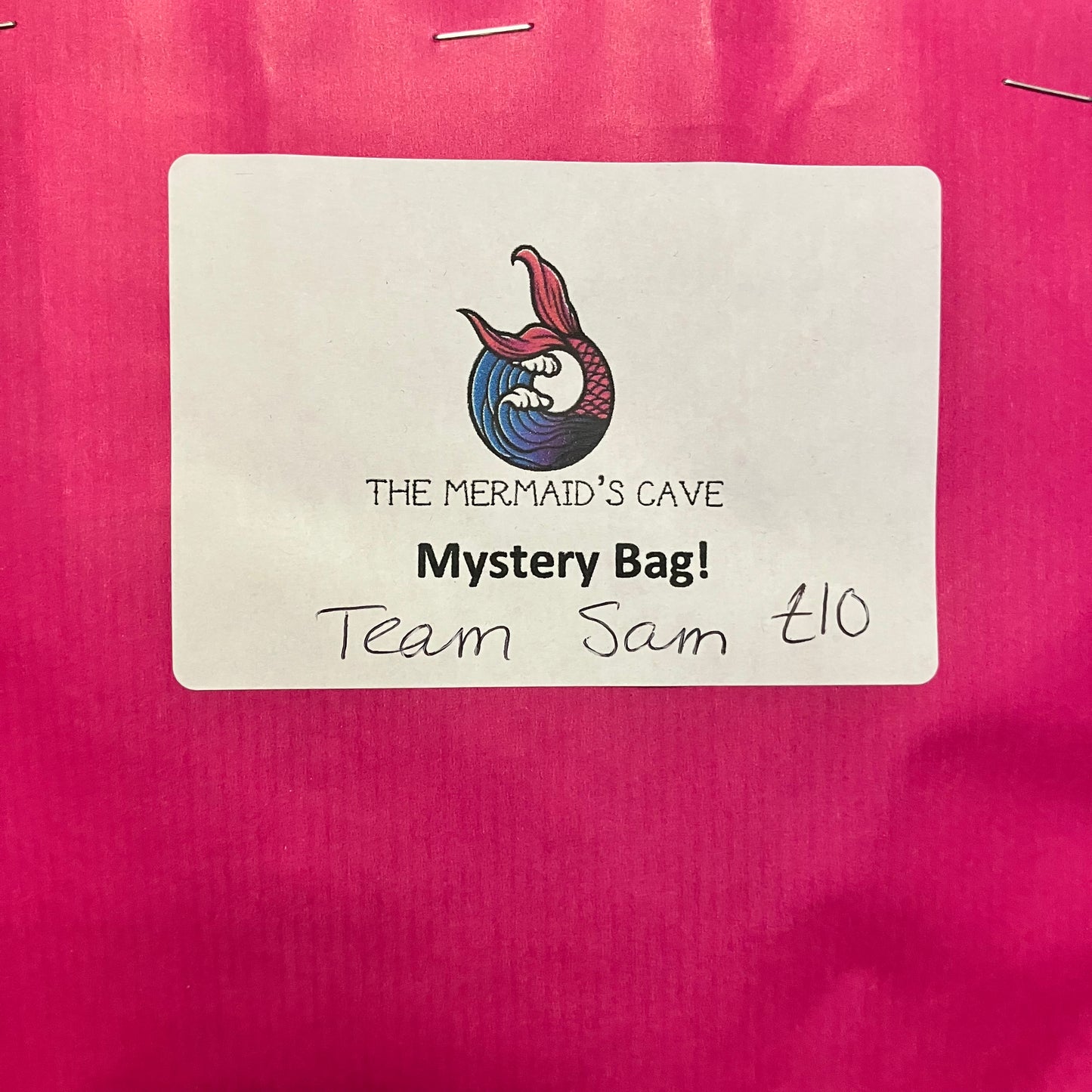 Team Sam Mystery Bag