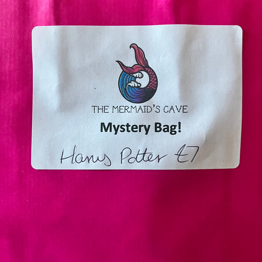 Wizard Mystery Bag