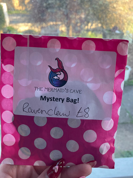House Mystery Bag