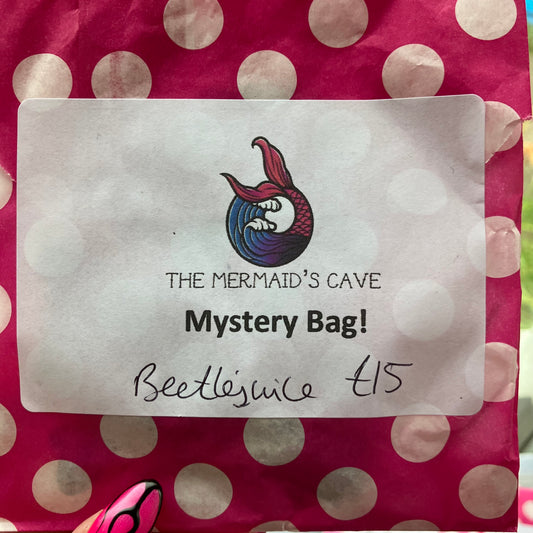 Beetle Mystery Bag