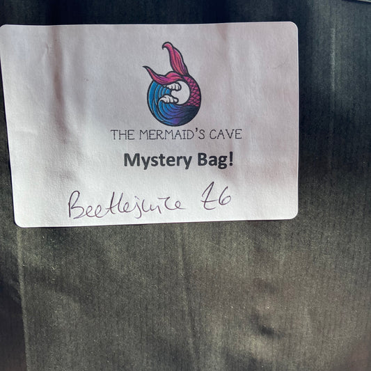 Beetle Mystery Bag