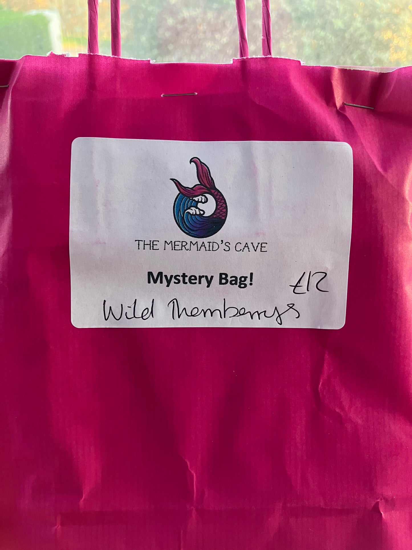 Wild Mystery Bag