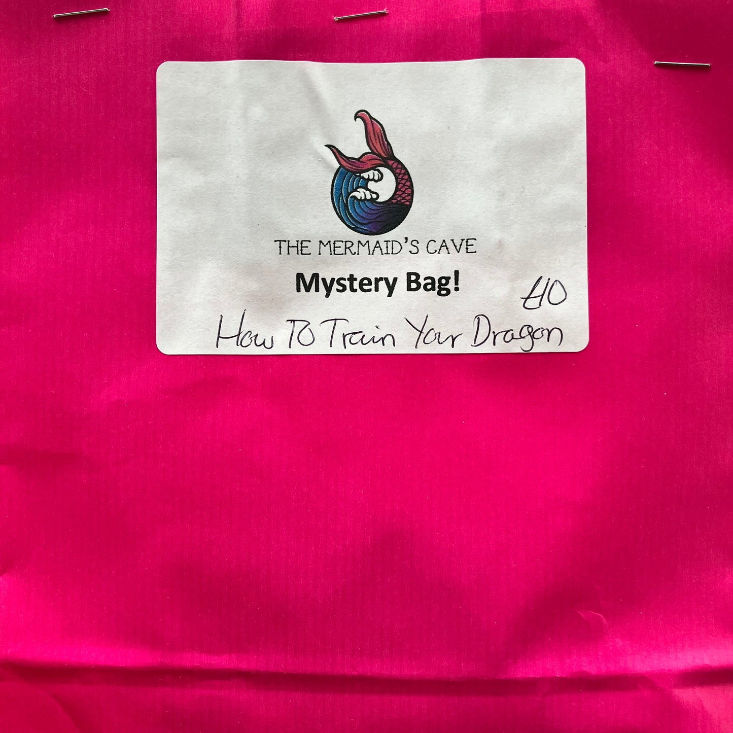 Dragon Trainer Mystery Bag