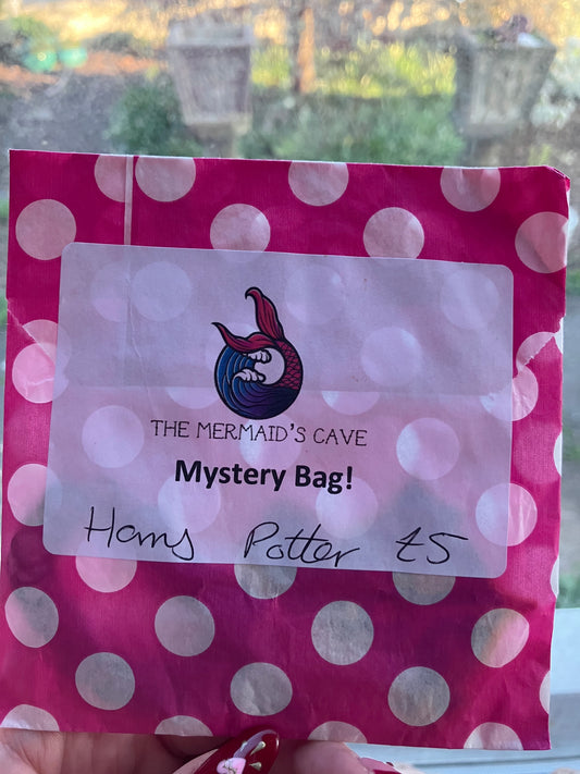 Wizard Mystery Bag
