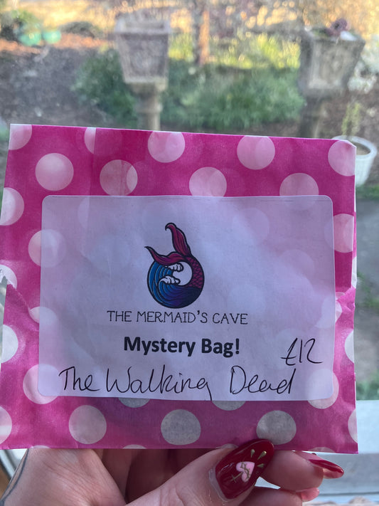 Zombie Mystery Bag