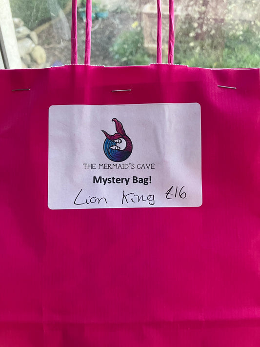 Cartoon Lion Mystery Bag