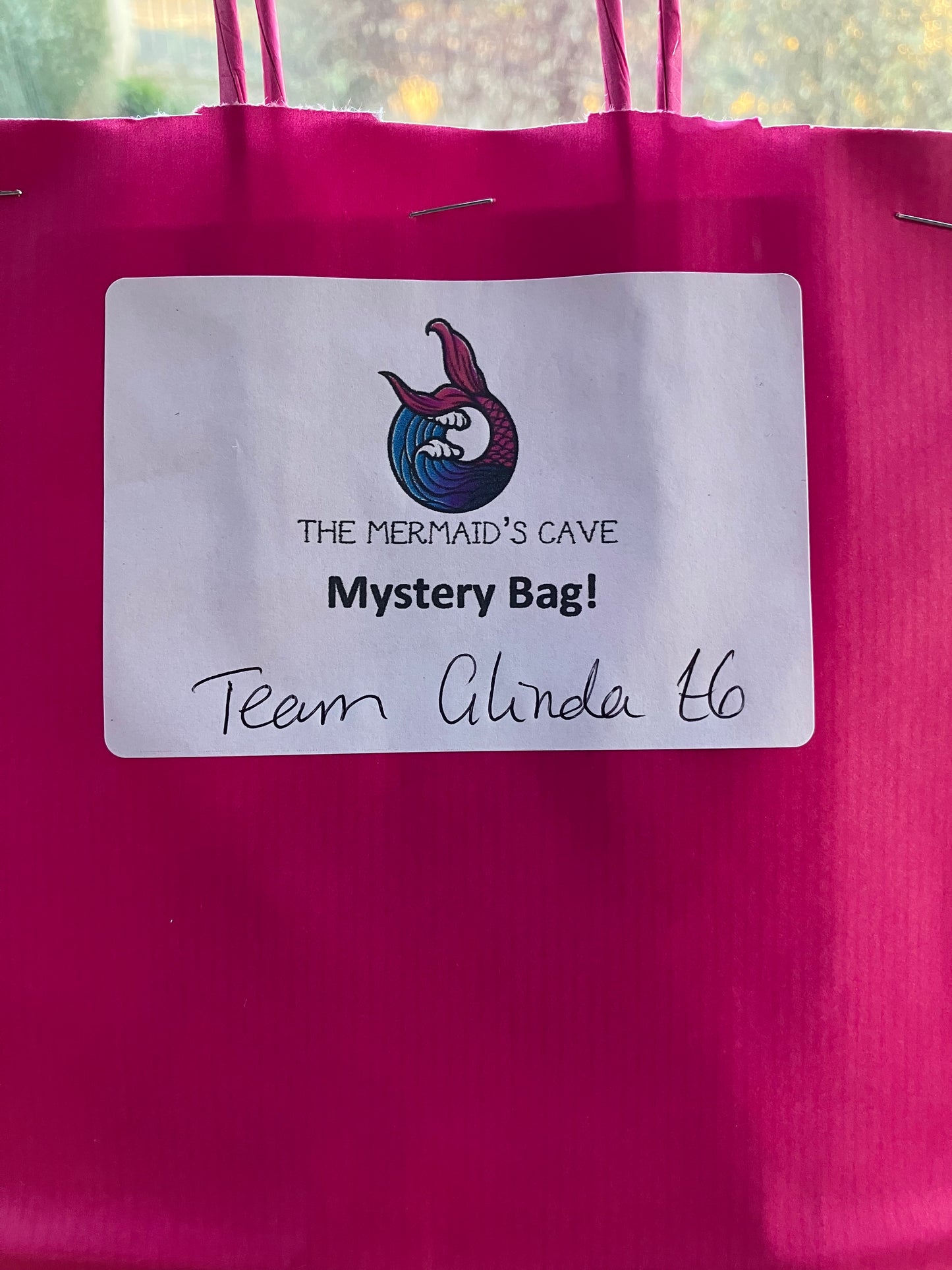 Pink Witch Mystery Bag