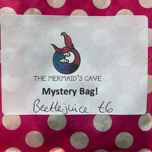 Beetle Mystery Bag