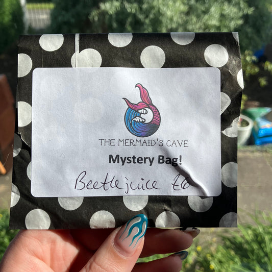 Beetle Mystery Bag