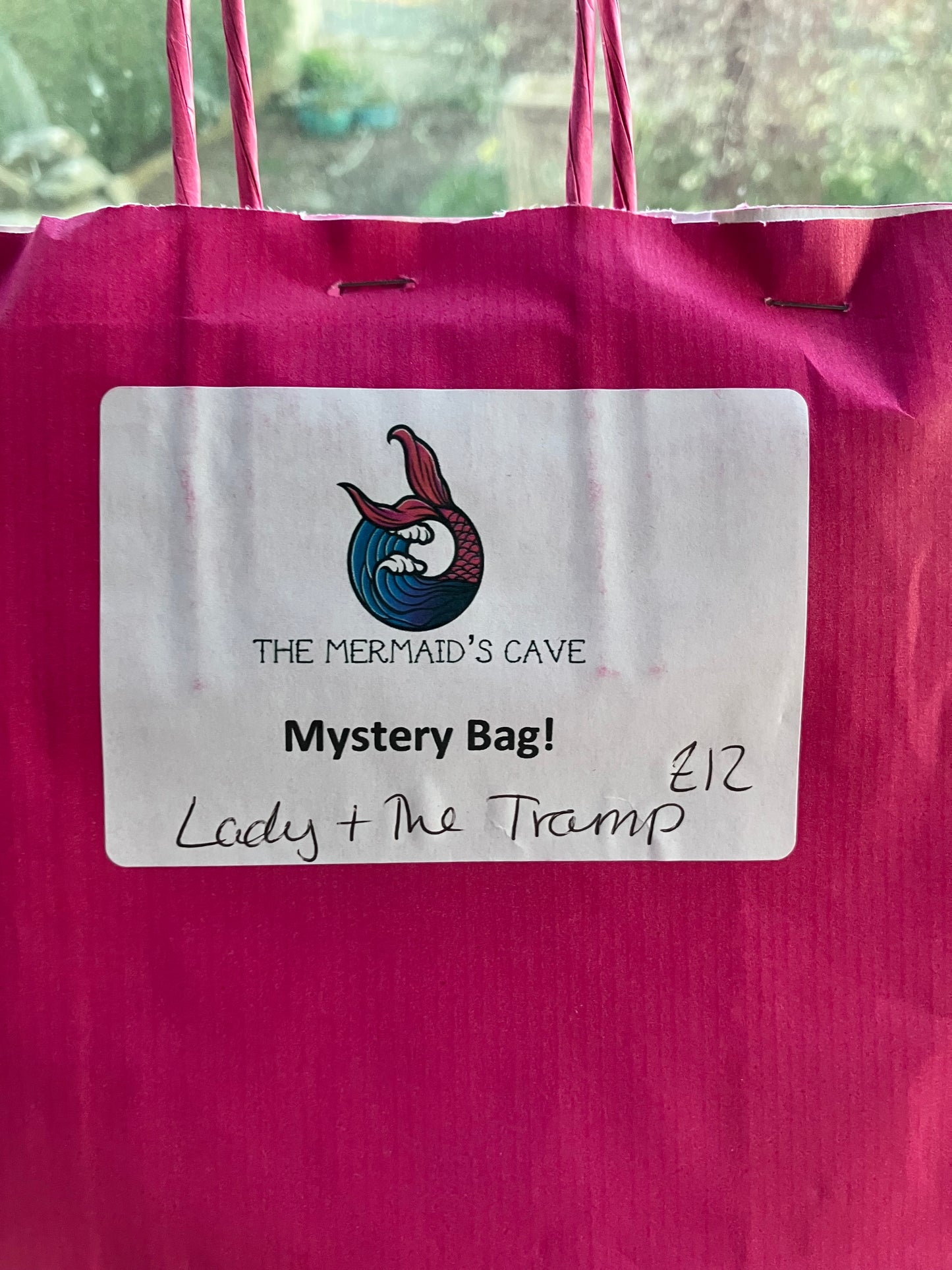 Cartoon Dog Mystery Bag
