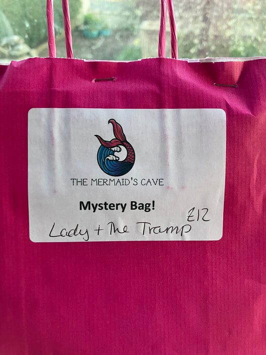 Cartoon Dog Mystery Bag