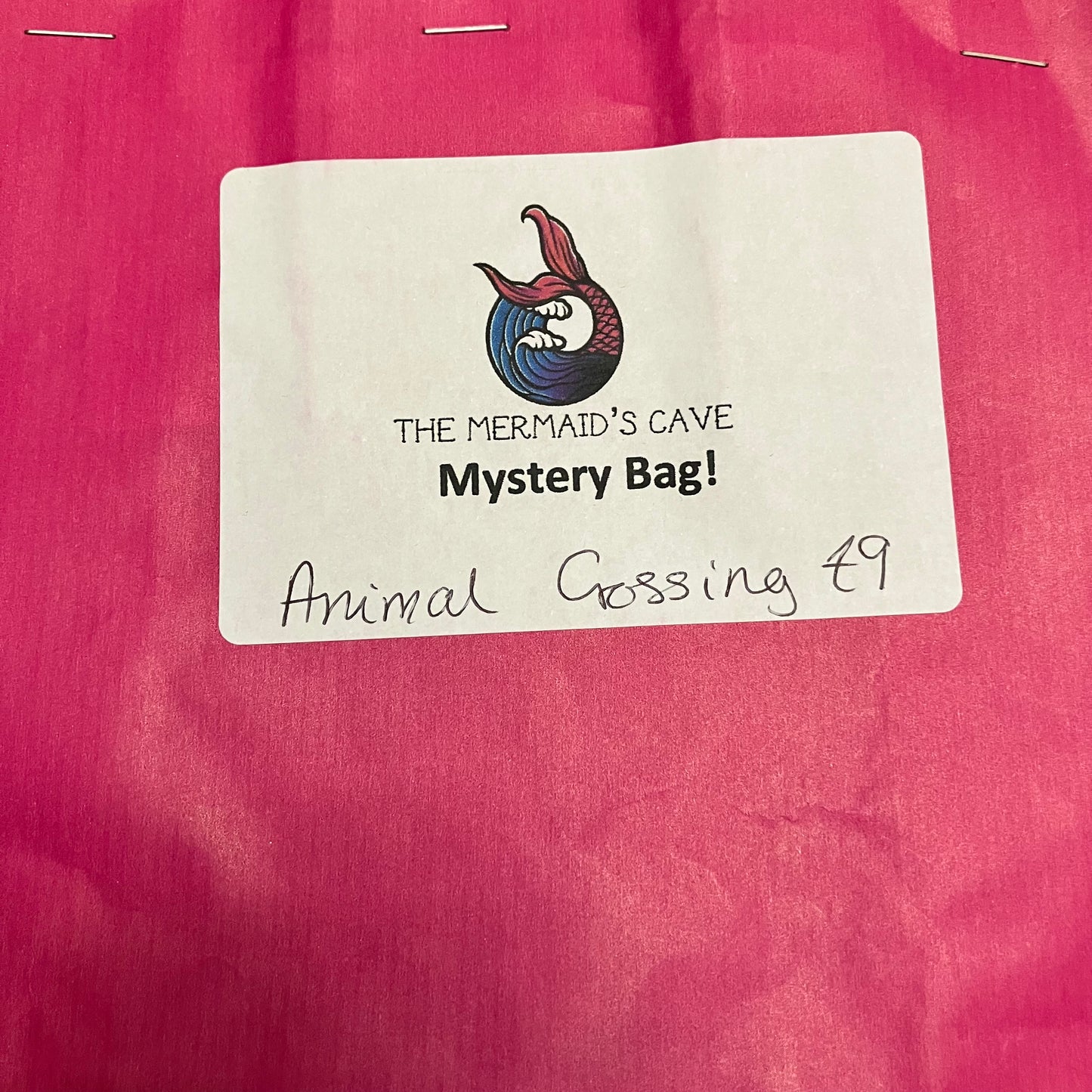 Animal Game Mystery Bag