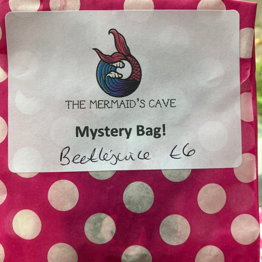 Beetle Mystery Bag