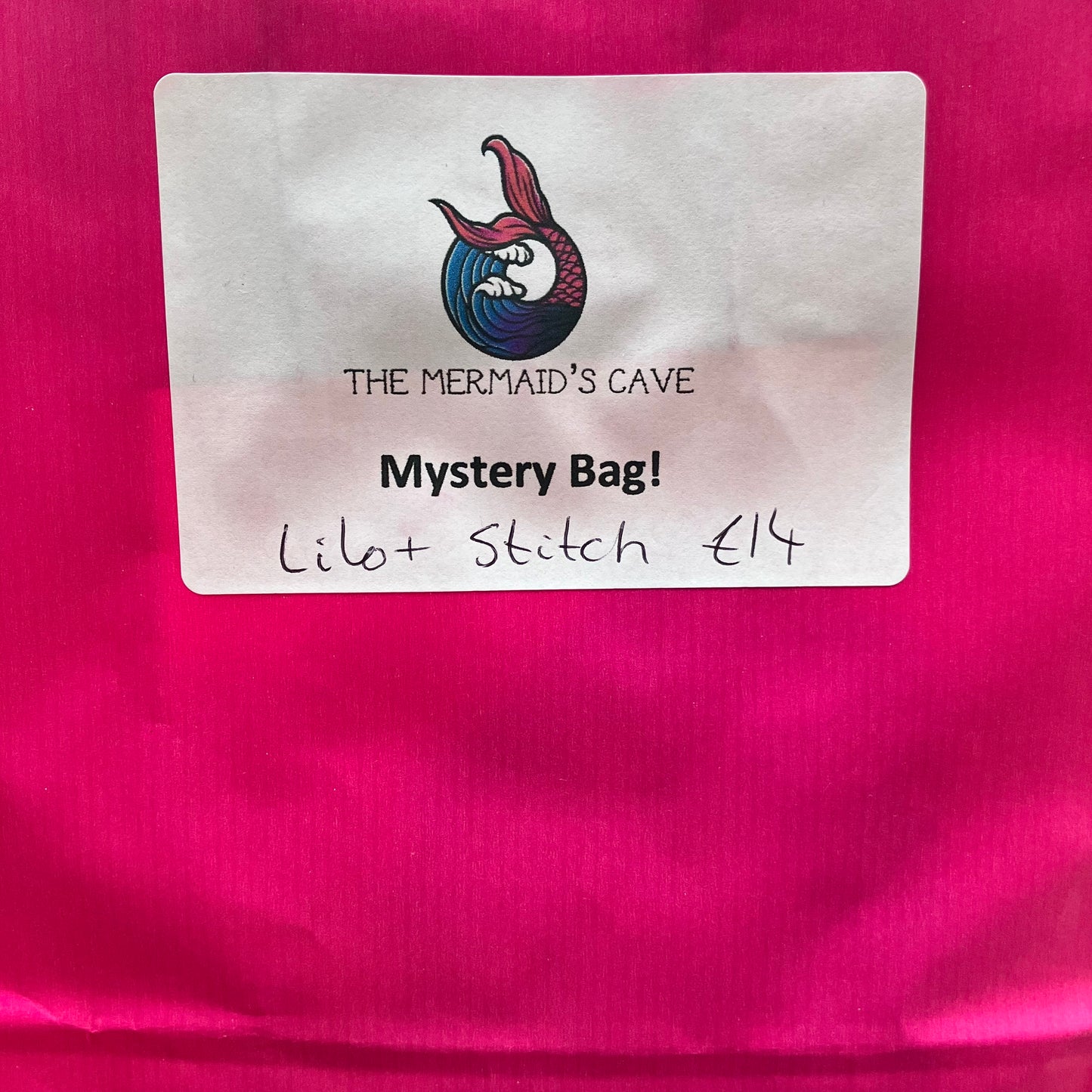 Experiment Mystery Bag