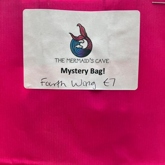 Dragon Rider Mystery Bag