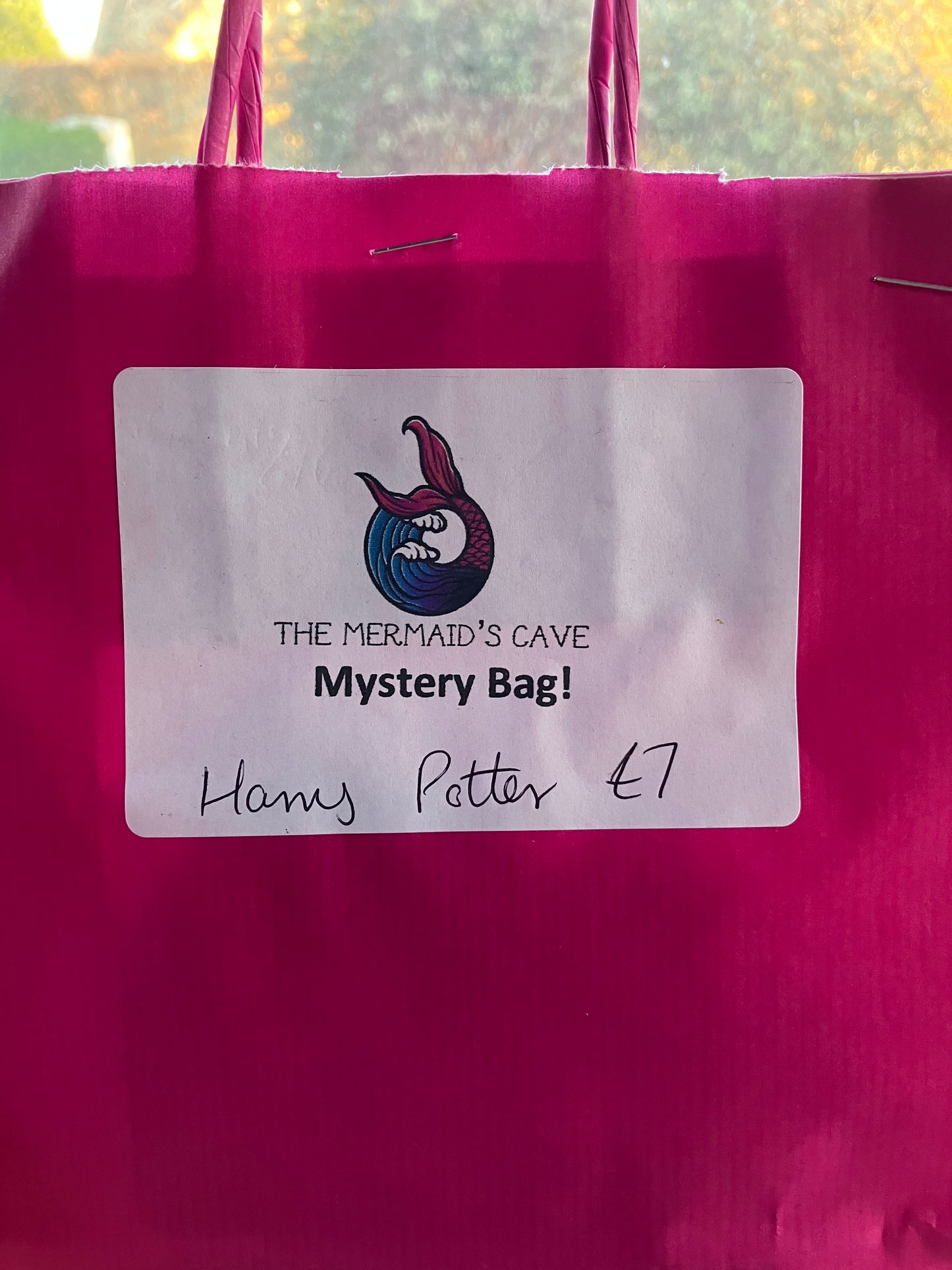 Wizard Mystery Bag