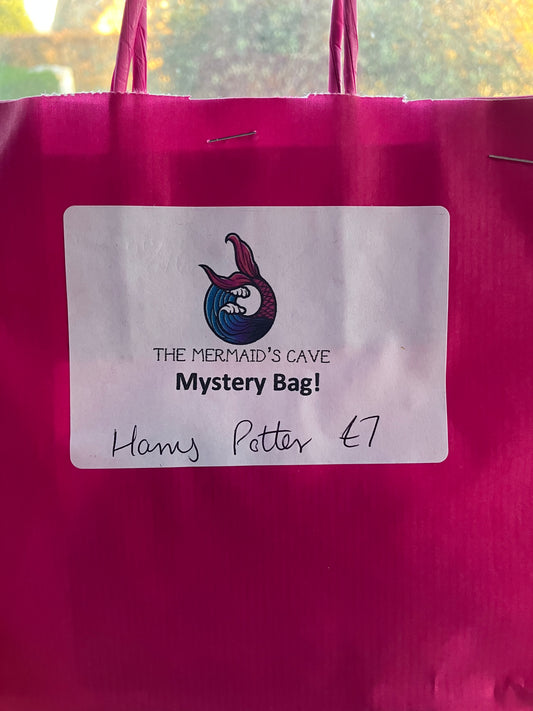 Wizard Mystery Bag