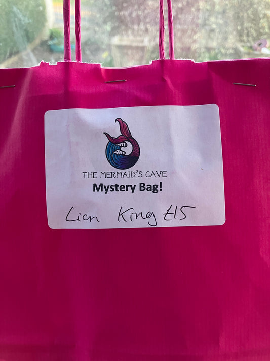Cartoon Lion Mystery Bag