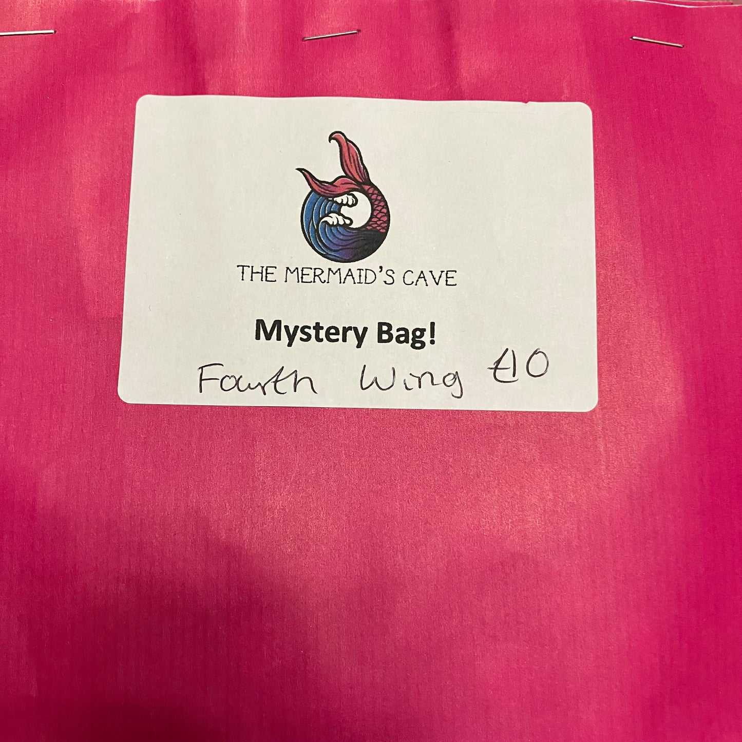 Dragon Rider Mystery Bag