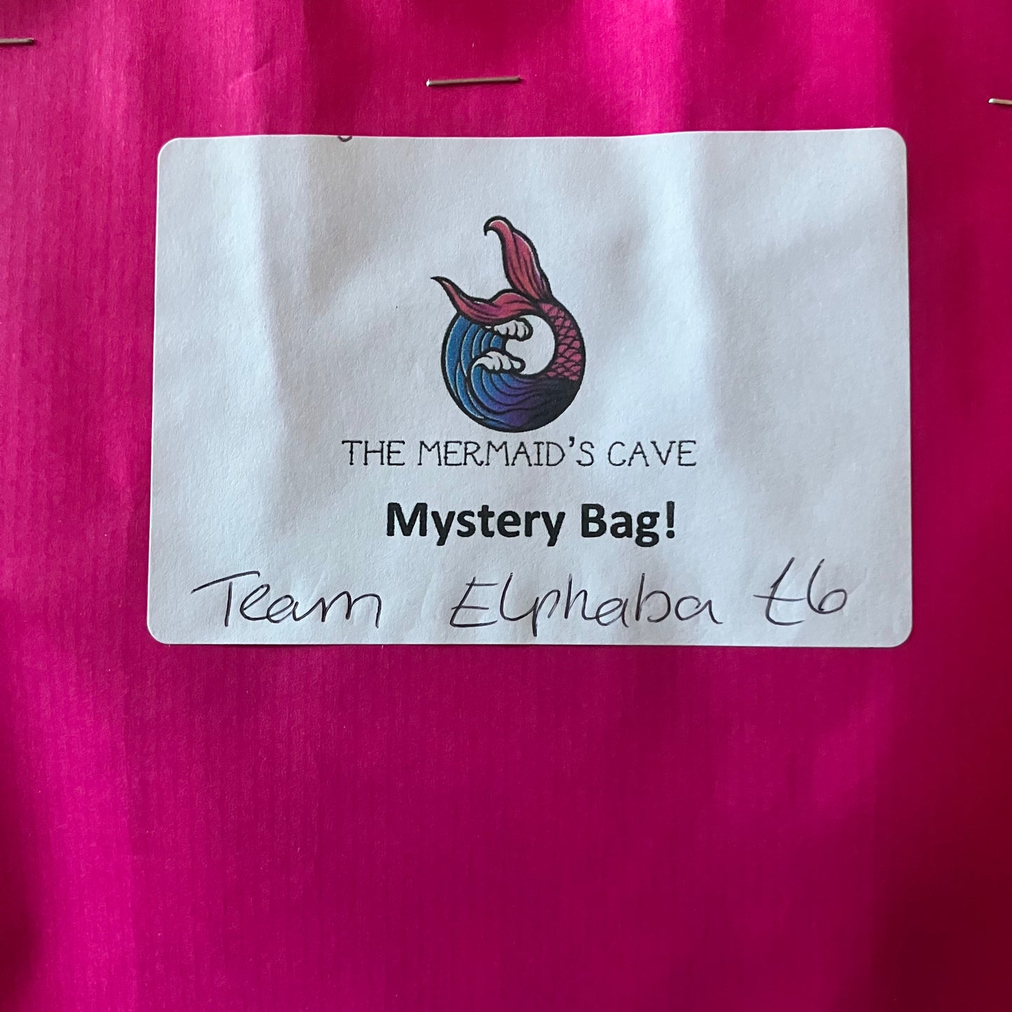 Team Elphaba Mystery Bag
