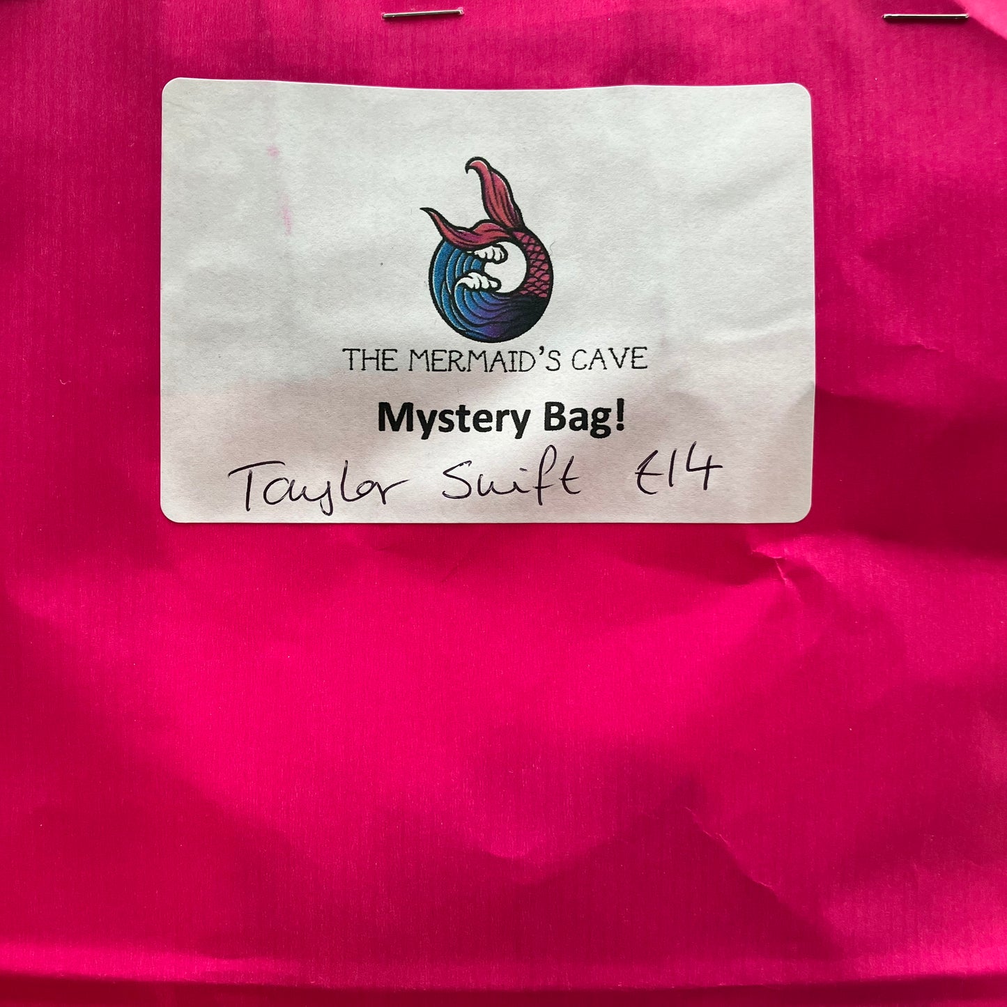 Taylor Mystery Bag