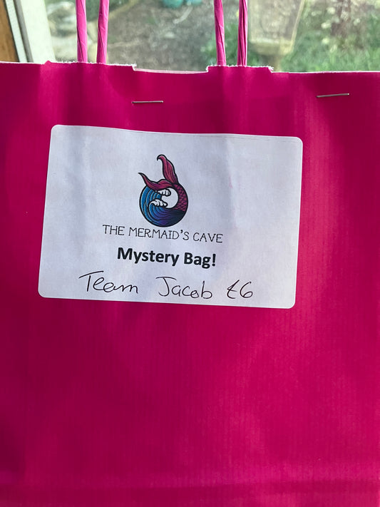 Team Jacob Mystery Bag