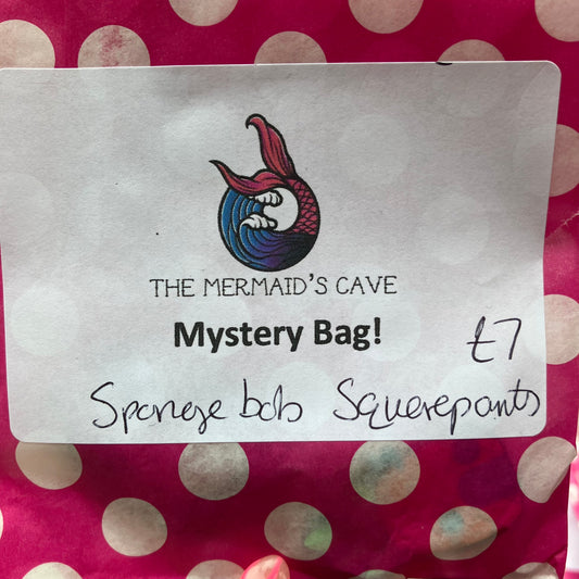 Sponge Mystery Bag