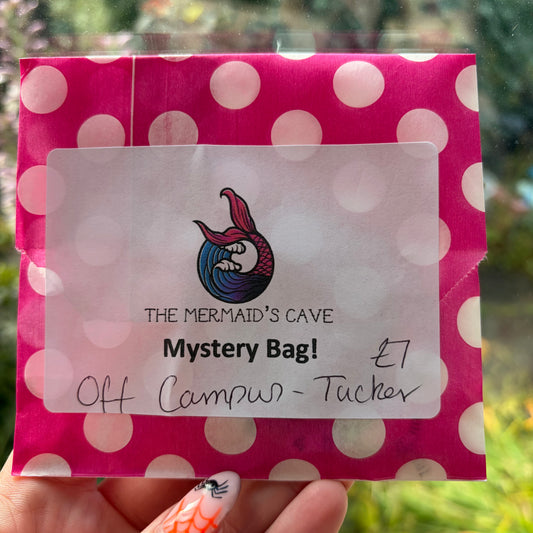 Campus Tucker Mystery Bag